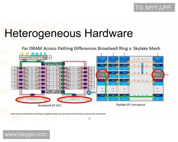 独家分析:杭州排球队的速度对比 独家分析:杭州排球队的速度对比