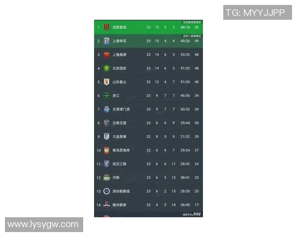 深圳排球队在城市联赛中以84分稳居榜首展现强劲实力