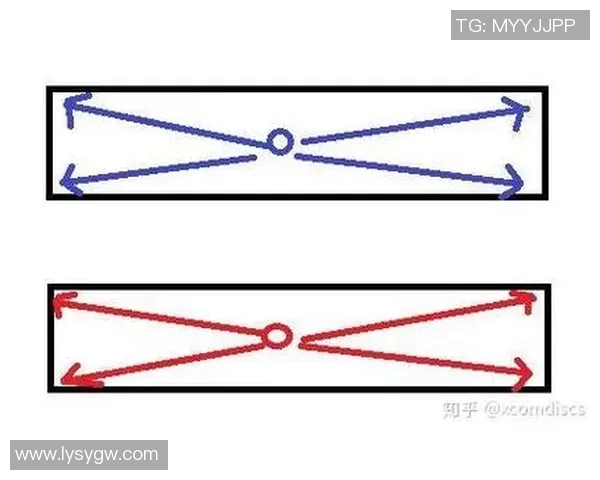 深入分析上海排球队防守策略与战术特点的专业解读 深入分析上海排球队防守策略与战术特点的专业解读